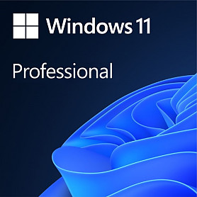 [FQC-10528] Microsoft Windows 11 PRO Программатура
