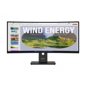 LENOVO Lenovo ThinkVision T34WD-40WQHD/ webCAM34''Monitor Monitorius