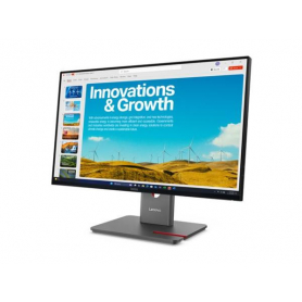 LENOVO Lenovo ThinkVision P24QD-40 QHD/ DP/ USB-C/ IPS 24'' Monitorius